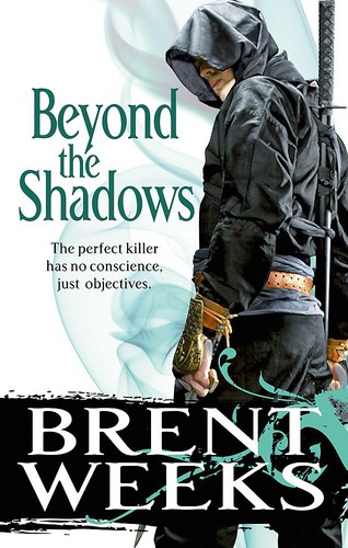 Beyond the Shadows cover