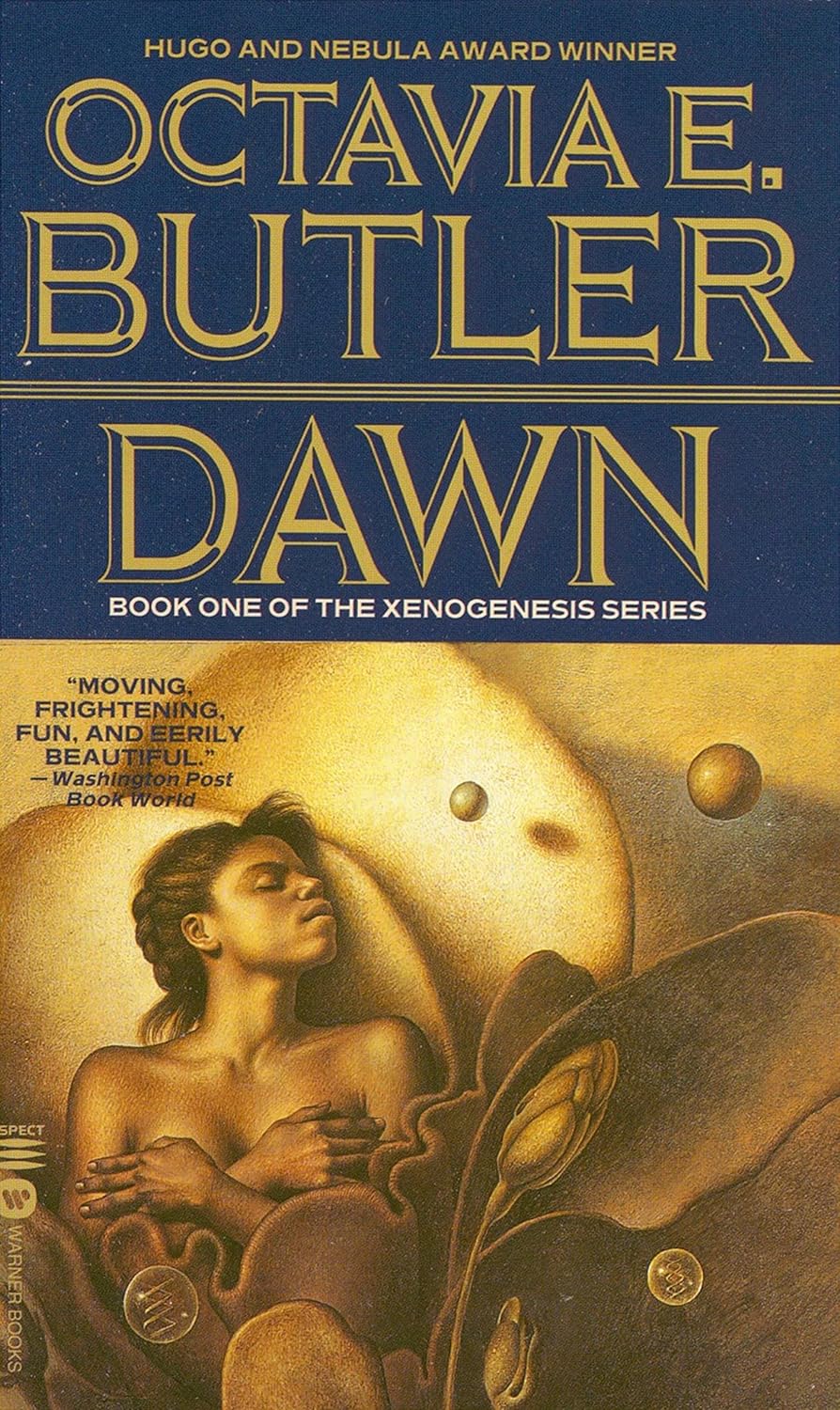 Dawn cover