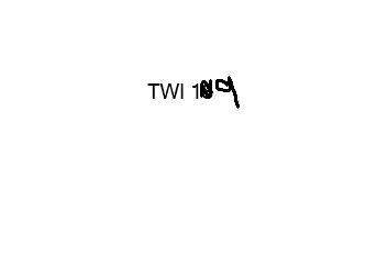 The Wandering Inn 19 cover
