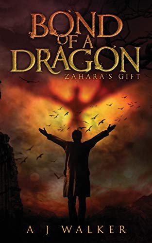 Zahara's Gift cover